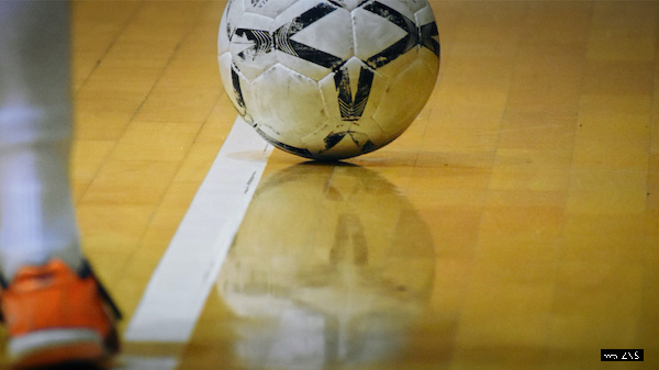 25. Dvoransko prvenstvo ZNS-a za zagiće i limače